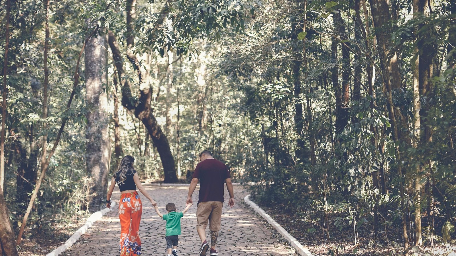 Contenuto articolo Una coppia di genitori cammina insieme a un bambino lungo un sentiero nel bosco, tenendolo per mano: simbolo di collaborazione e continuità familiare anche dopo la separazione.